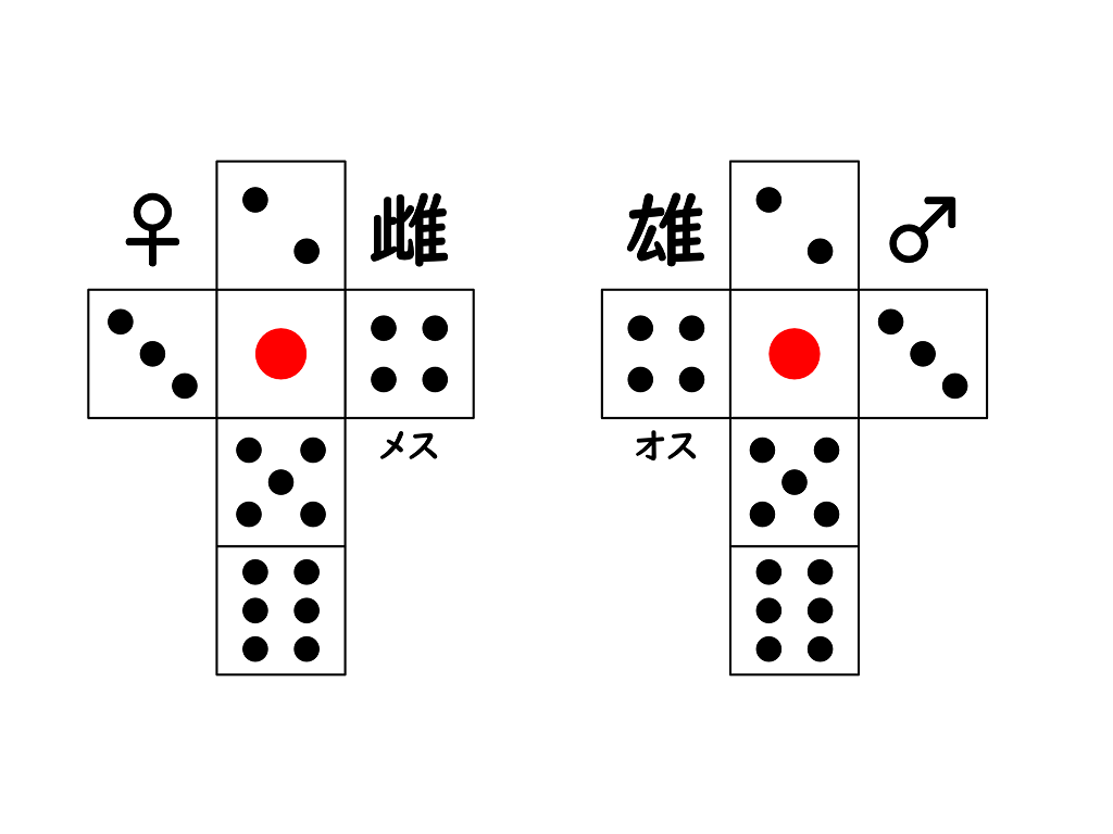 サイコロの雌雄の謎