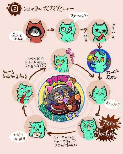 チャック横丁で合法的マタタビ取引