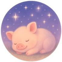 ぶたゆめ堂画像