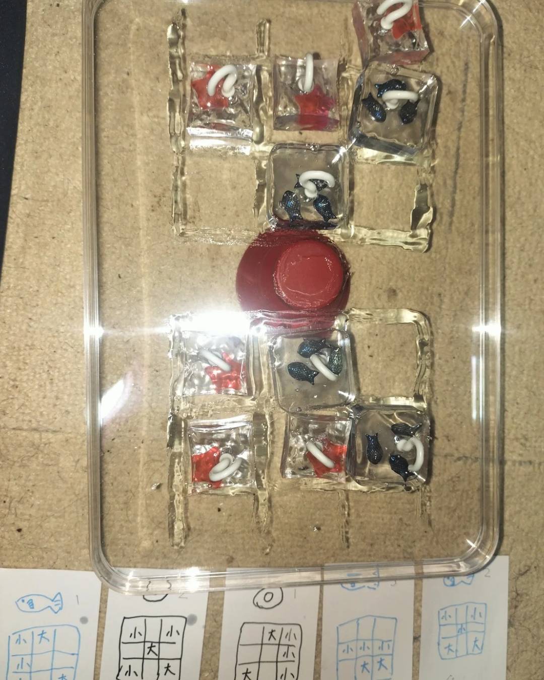 アクアリウム（仮）