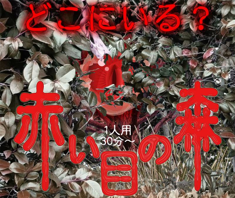 1人用パズルRPG　赤い目の森