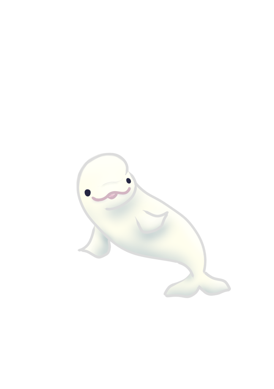 クジラ、イルカ、アザラシ、シャチ・・・海の生き物が勢ぞろい！！