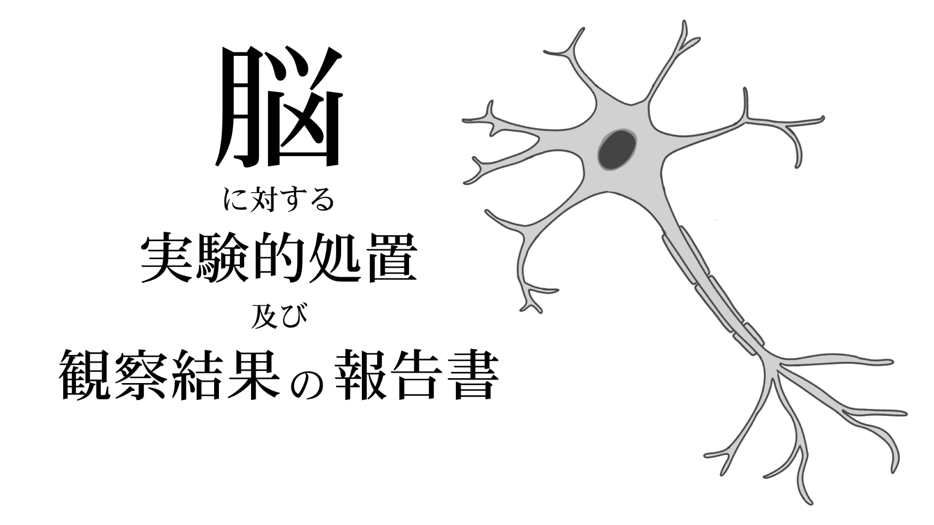 蒸し焼き画像