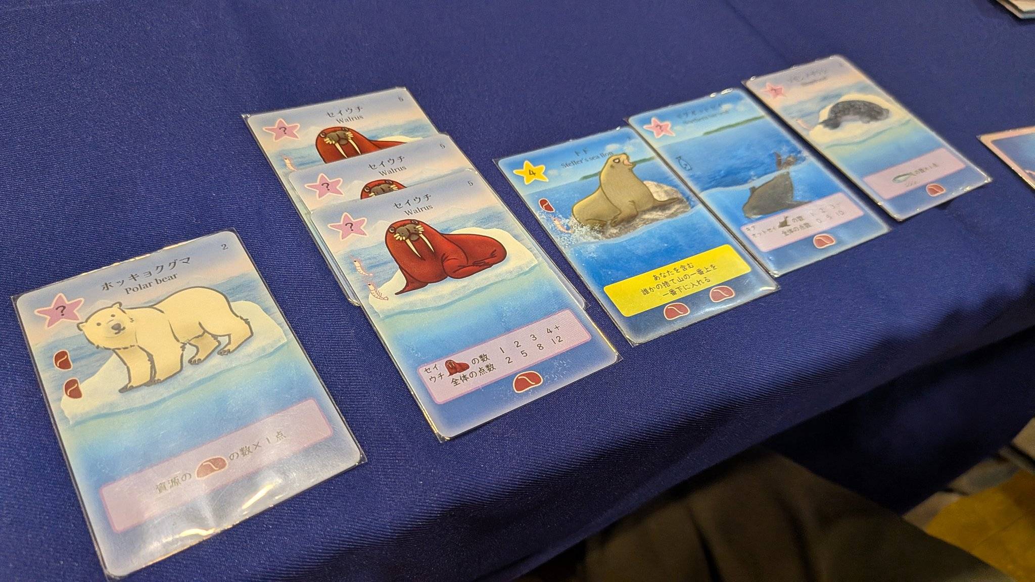 ICE SEAを大勢の方にご好評いただきました！