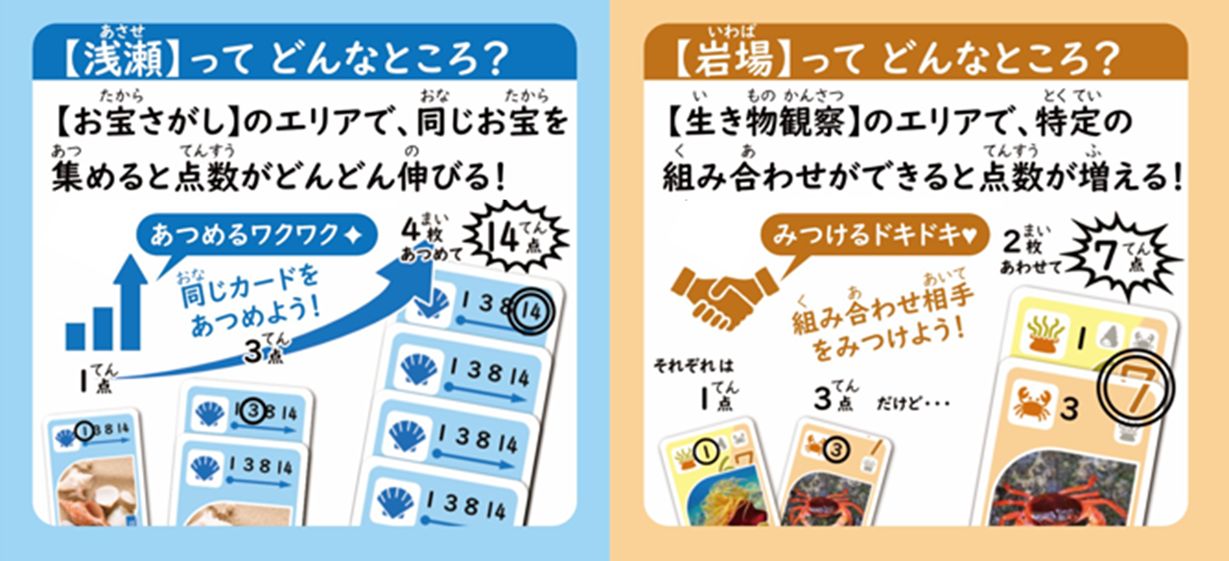 【なみコレ】カード徹底解説！浅瀬のお宝と岩場の生き物たち＜カード紹介＞