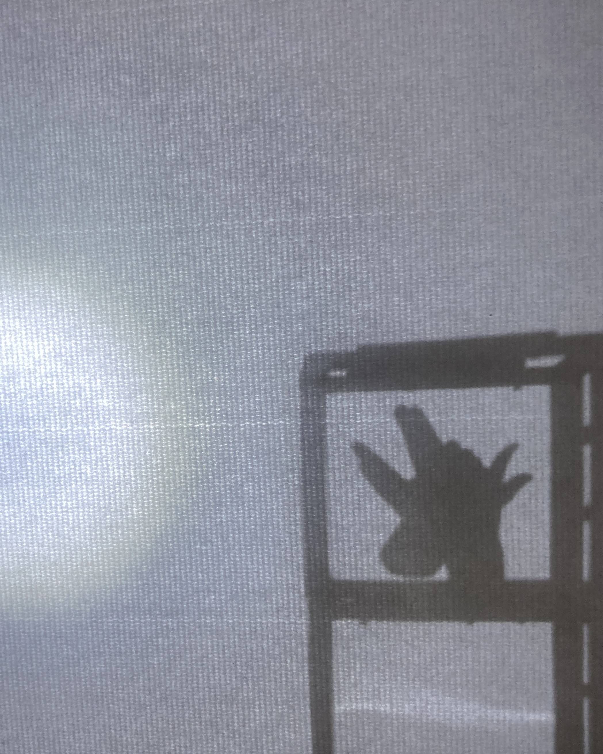 【ブレーメンにあこがれて】狼の影絵駒