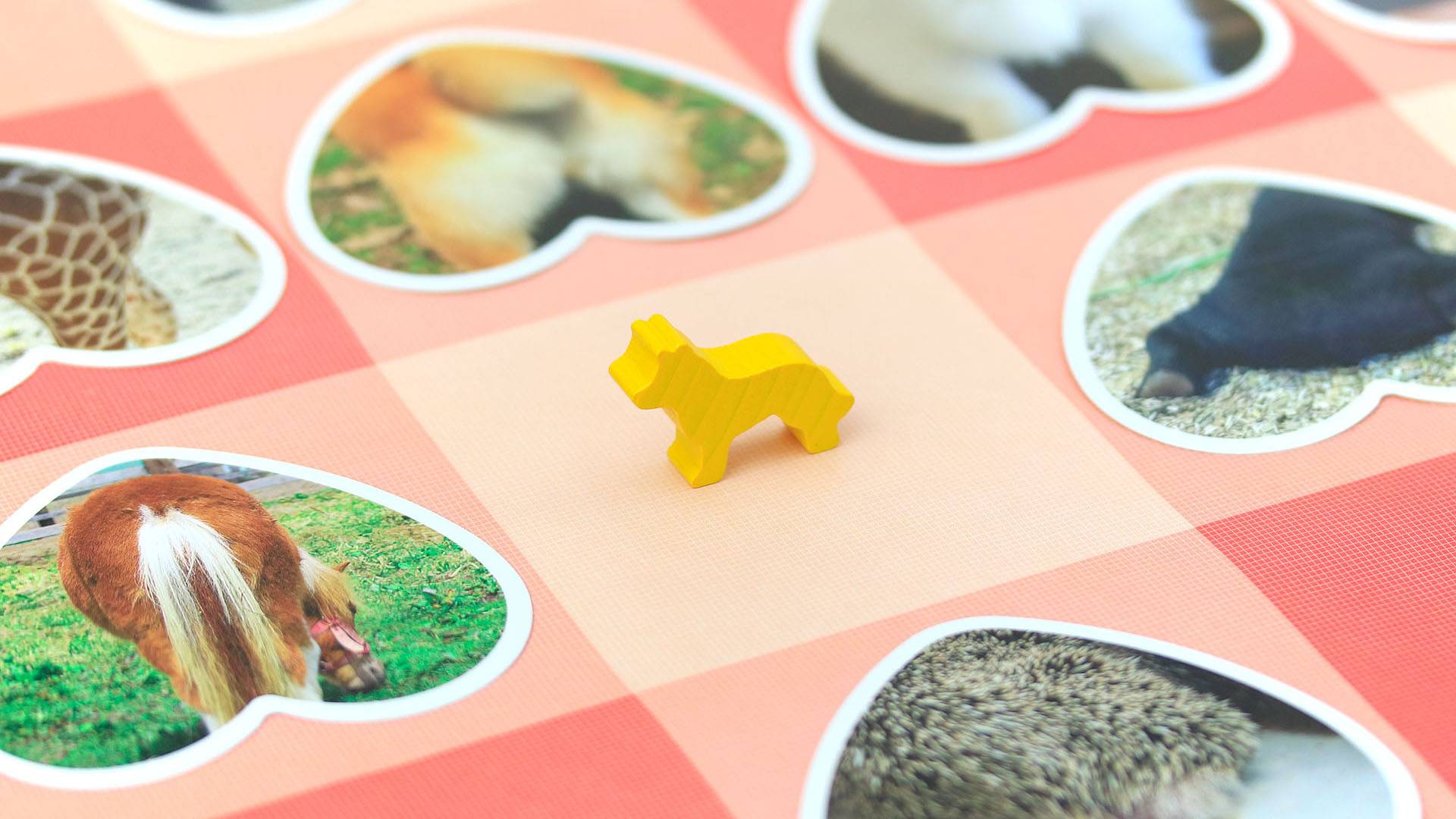 【両N30】かわいいけど、ちょっと意地悪!?『ギンガムココ』限定缶のご紹介