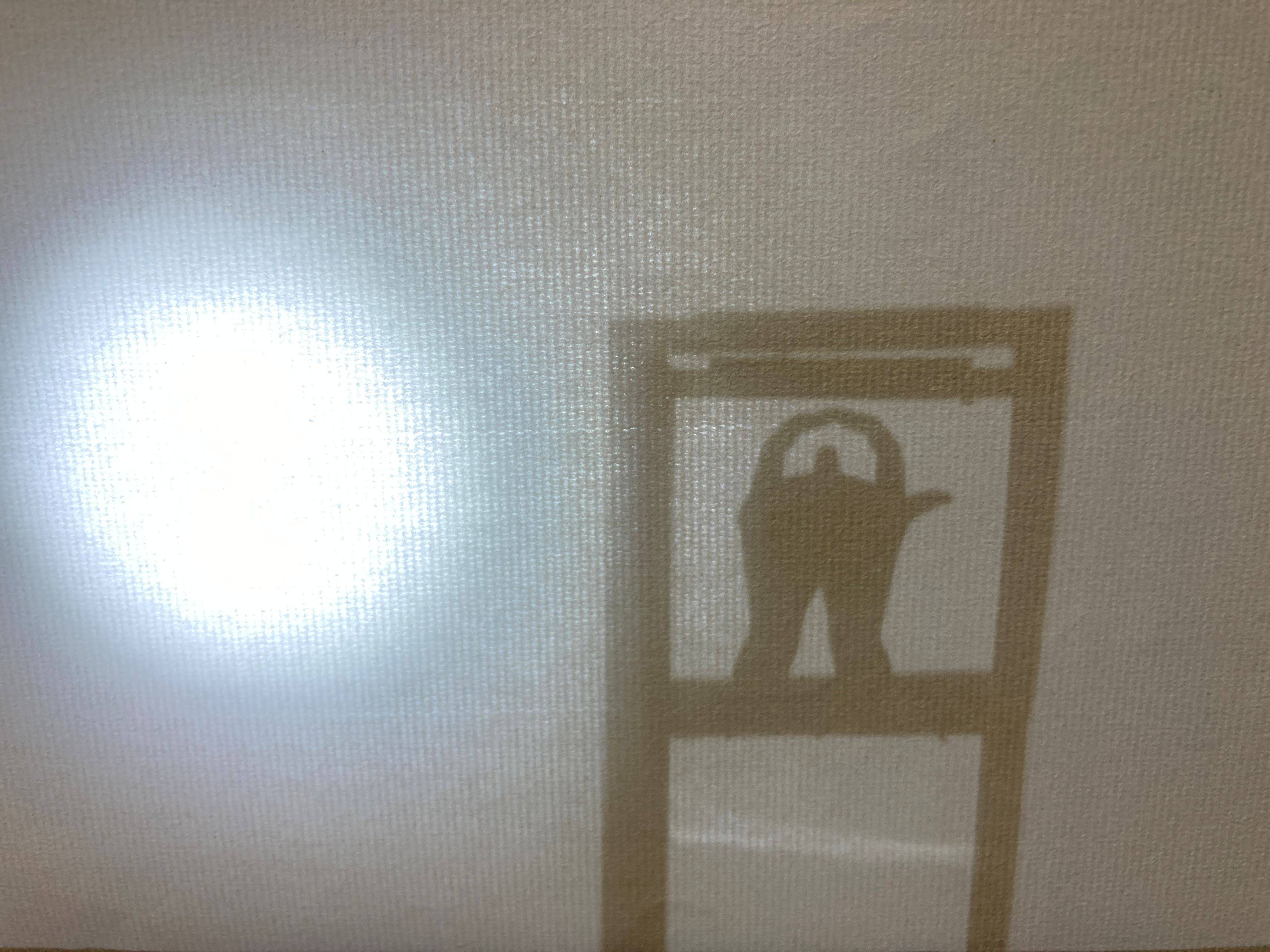 【ブレーメンにあこがれて】狸の影絵駒