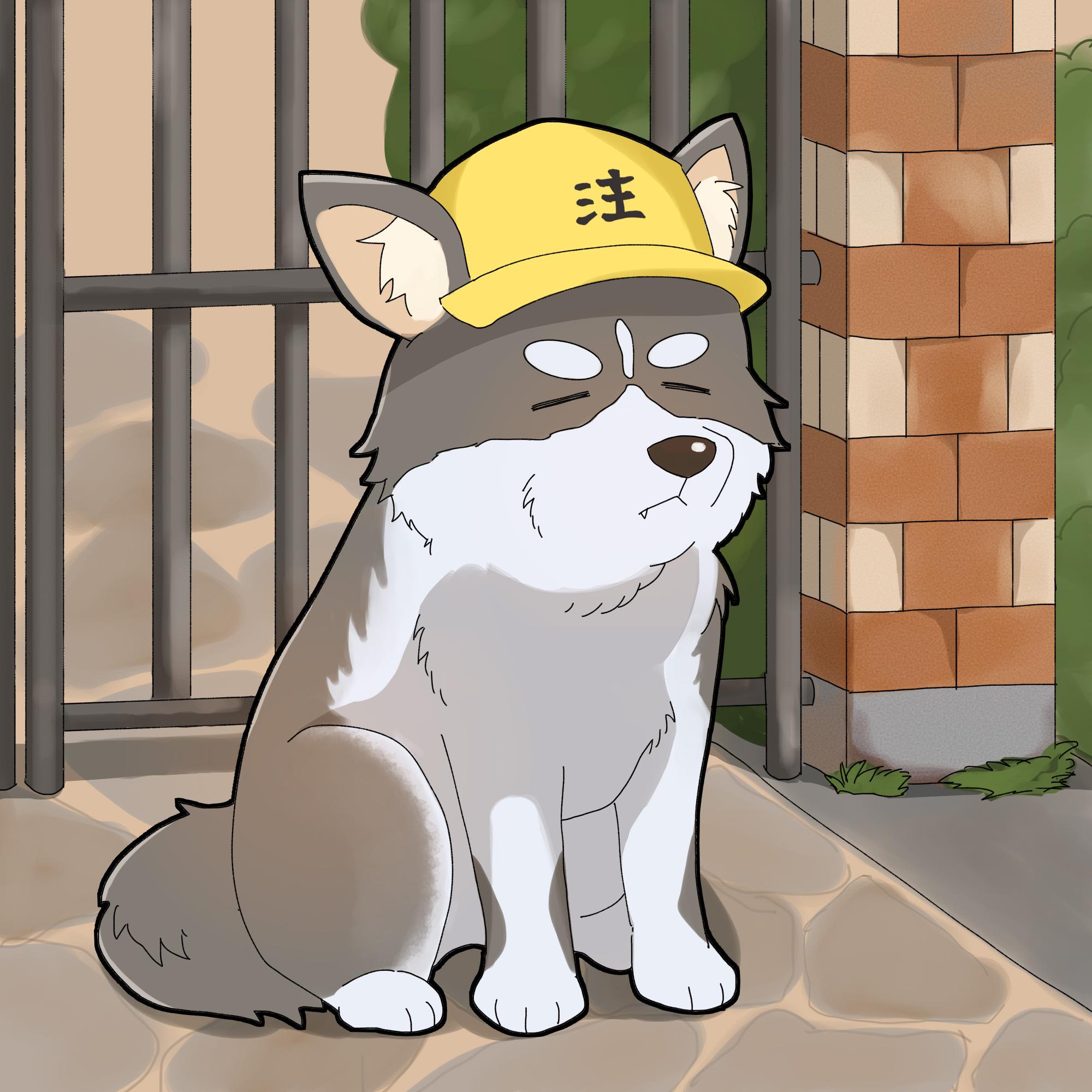 Tohf工房画像