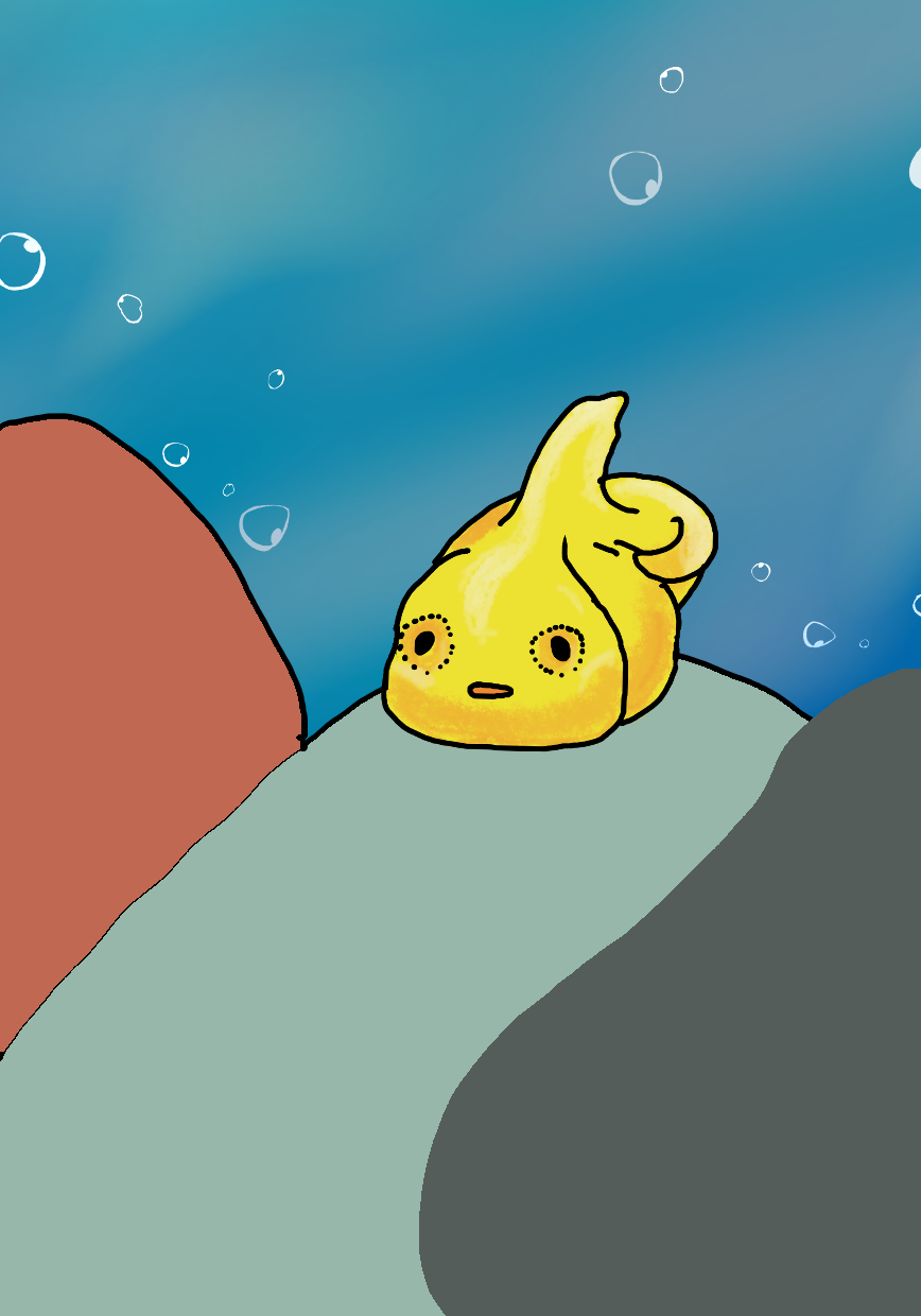 バルバス・バウ画像