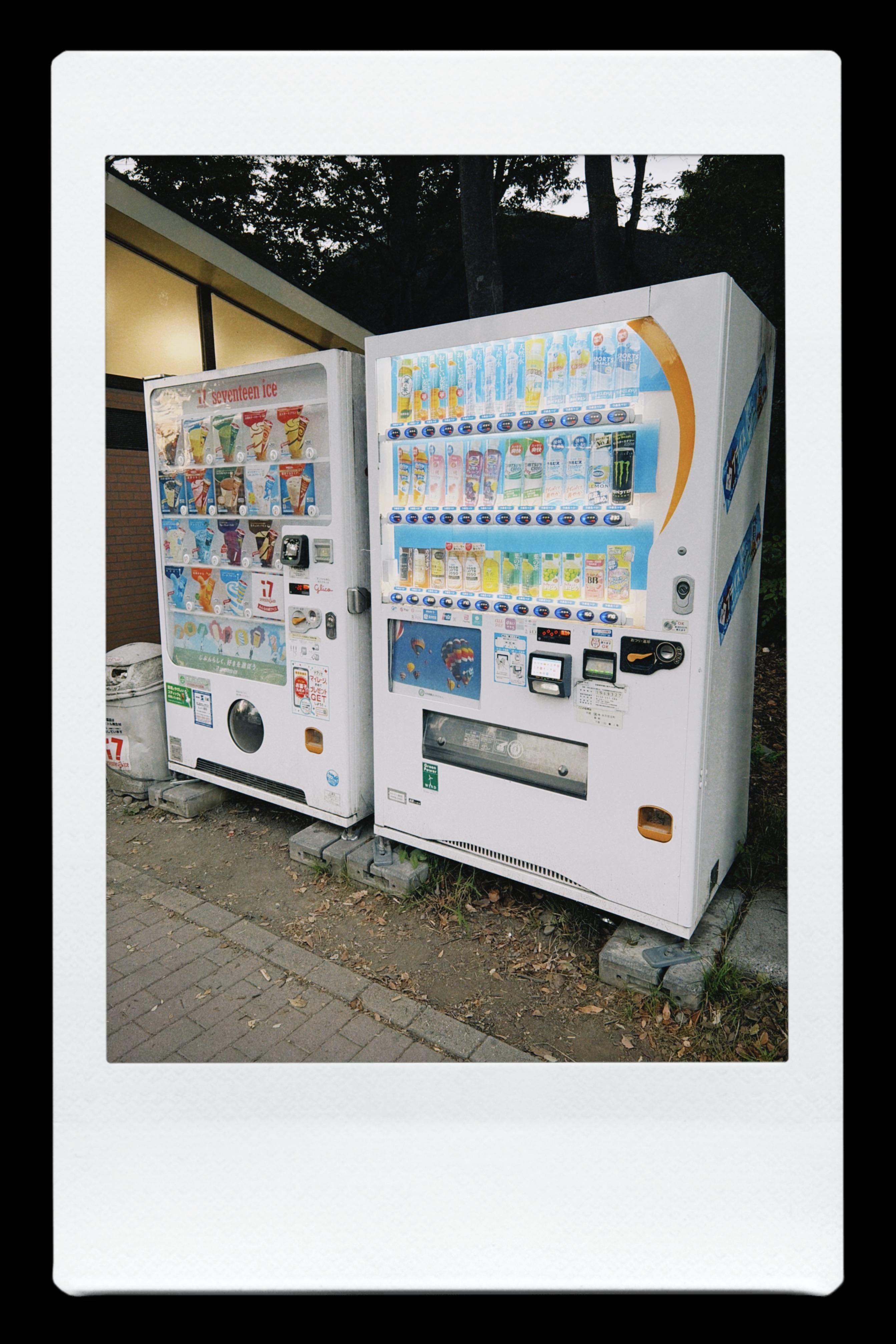 お題「自動販売機を使おう」に挑戦した写真