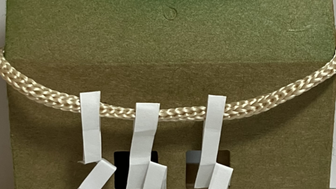 [祠はやっぱり森ん中（増量版）]