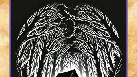 [ミッドナイト・マッドキャンプ]