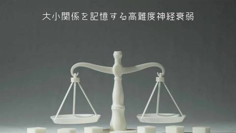 [ハカリの神経衰弱]