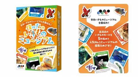 [僕の私のいきものミュージアム]