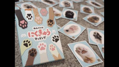 [わんにゃんにくきゅうマッチング]