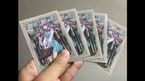 [スリーブ「hunting vs dragon」]