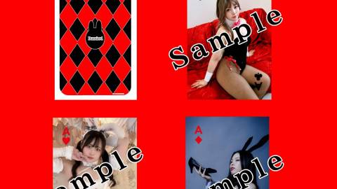 [コレクターズトランプvol1 Bunnies 1]