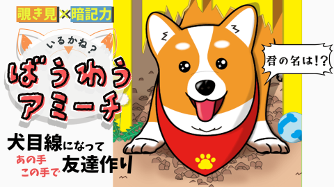 [いるかね？ばうわうアミーチ]