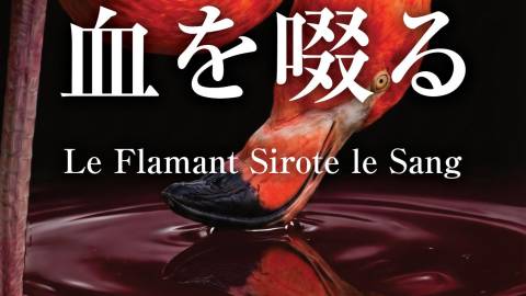 [紅鶴は血を啜る]