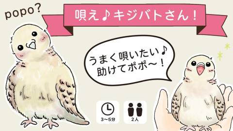 [唄え♪ キジバトさん！]