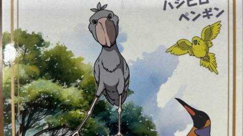 [ハシビロペンギン]
